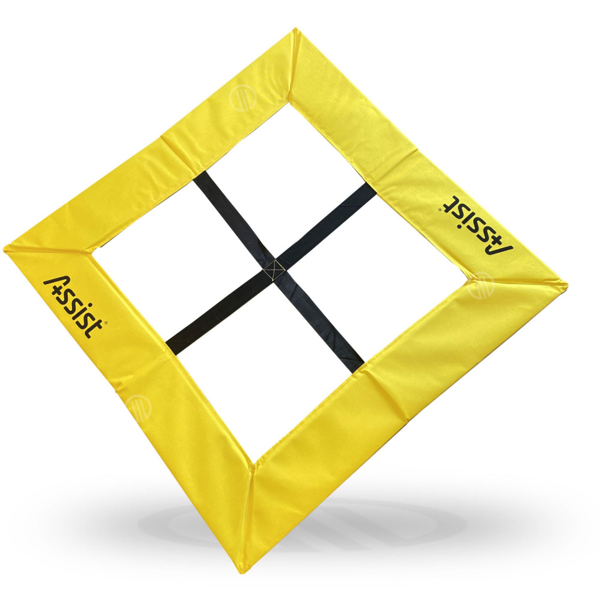 Assist Agility Cube